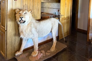 Hallan en una casa de La Pampa una enorme colección de trofeos y armas no declaradas