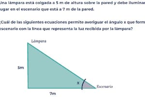 Uno de los ejercicios de matemática que se tomaron en las pruebas Aprender