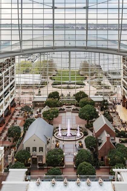 Uno de los elementos más llamativos del hotel es el imponente atrio de cristal de 19 pisos que resguarda vegetación