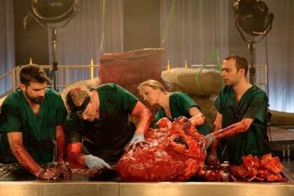 Uno de los expertos involucrados en este proyecto es Steve Brusatte, un paleontólogo de Reino Unido y especializado en la anatomía y biología de este animal