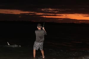 Pescaban a la noche en un lago de Florida y un pez los dejó shockeados