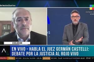 Animales sueltos. Juez Castelli: "El Senado pisoteó la Constitución Nacional"