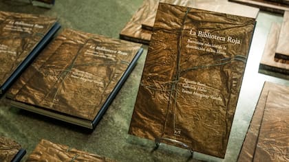 Uno de los libros de la biblioteca sepultada