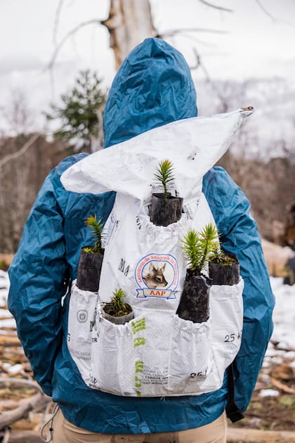 Uno de los logros del proyecto fue la colaboración con el vivero Ruca Choroi, fundado en 2009 con el objetivo de cultivar plantines nativos de Araucaria araucana, lenga, ñire y ciprés.
