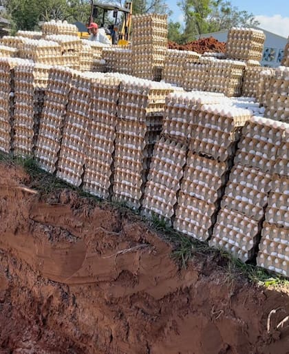 Uno de los lugares para destruir los huevos