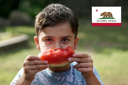 Uno de los mayores bancos de alimentos en EE.UU. anunció cuándo y dónde regalarán comida durante este mes (Unsplash/Thomas Park)