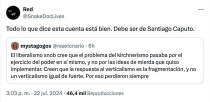 Uno de los mensajes que posteó el usuario de la cuenta que le atribuyen a Santiago Caputo