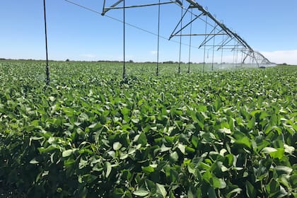 Uno de los ODS como, por ejemplo, hambre cero, subraya la importancia de los sectores alimentario y agrícola como soluciones clave para erradicar el hambre y la pobreza. Este objetivo también insta a reducir el desperdicio de alimentos y a apoyar a los agricultores