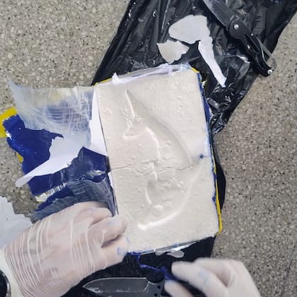 Uno de los panes de cocana con el sello del delfn, marca vinculada al origen del cargamento incautado por Prefectura