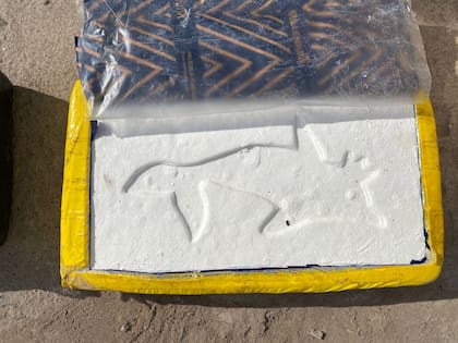 Uno de los panes de cocaína secuestrados por la PSA