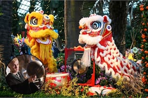 De villano a amuleto: Draco Malfoy de Harry Potter protagoniza las decoraciones del Año Nuevo Chino 2026