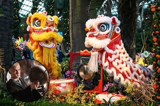 De villano a amuleto: Draco Malfoy de Harry Potter protagoniza las decoraciones del Año Nuevo Chino 2026