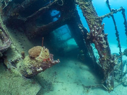 Uno de los primeros barcos de la Segunda Guerra hundidos que exploró Alejandro Dutto fue el Antilla, ubicado en la costa de Aruba