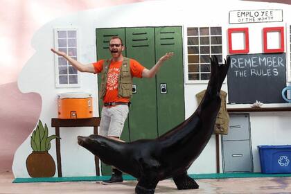 Uno de los principales atractivos del Seaquarium de Miami es el show con lobos marinos
