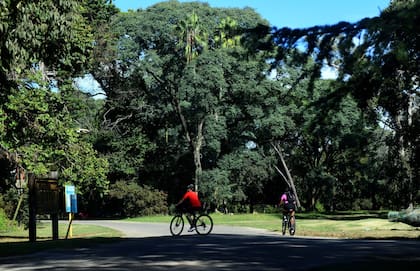 Uno de los problemas de inseguridad dentro del Parque Pereyra Iraola está vinculado con el robo de bicicletas