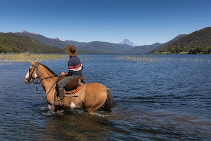 Uno de los puntos fuertes de la cabalgata es el cruce del lago Quillén, con el Lanín de fondo.