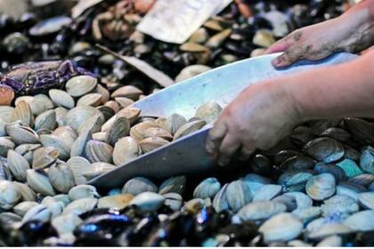 Uno de los puntos que destacan todas las cadenas de la lista es la frescura del pescado gracias a sus proveedores