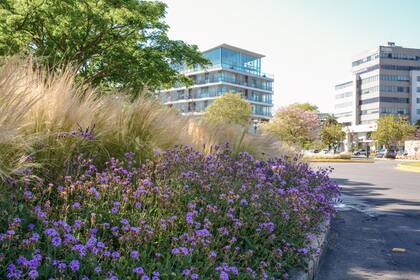 Uno de los requerimientos del cliente, además, era agregar flores.