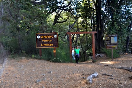 Uno de los senderos que fue reabierto este fin de semana en Los Alerces