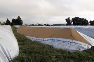 Uno de los silobolsas atacados en la planta de acopio de la Cooperativa Agropecuaria de Bolívar