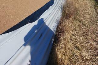 Le destruyeron dos silobolsas y cree que solo fue para “hacer daño”