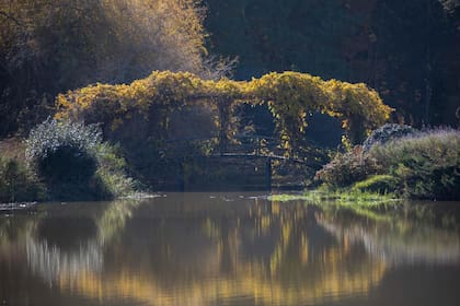 Uno de los tantos puentes que atraviesan los canales.
