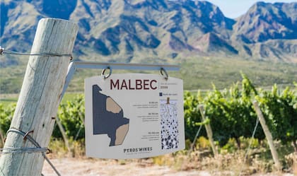 Viñedos de Malbec de Valle de Pedernal, en San Juan, de donde en los últimos han comenzado a surgir vinos de calidad internacional