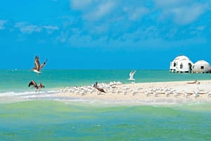 La isla de Florida con estilo caribeño, naturaleza, lujo y actividades que se unen en un solo lugar