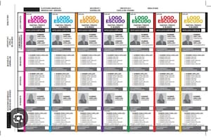 Uno modelo de Boleta Única, similar al que funciona en la provincia de Mendoza desde el 2022