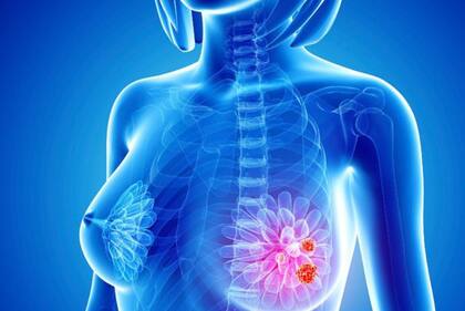 La razón por la que a la selección natural "no le importa tanto" la salud de las mujeres