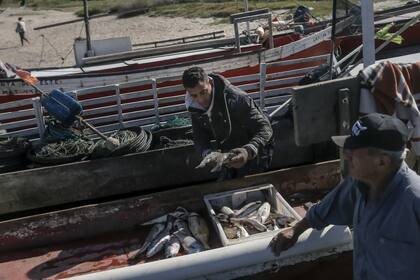 Uno por uno, Sebastián saca del interior de la barca los pescados que son acomodados en cajones hasta completar los 24 kilos