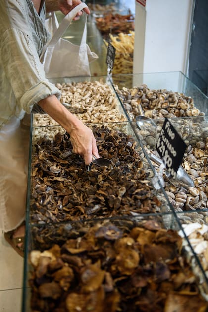 Uno puede ir al mercado y encontrar esta variedad de hongos cultivados o de recolección, frescos o deshidratados. Los colores varían y los aromas son penetrantes, cada uno muy particular y distinto al otro.