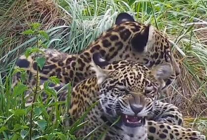 Unos meses más tarde...