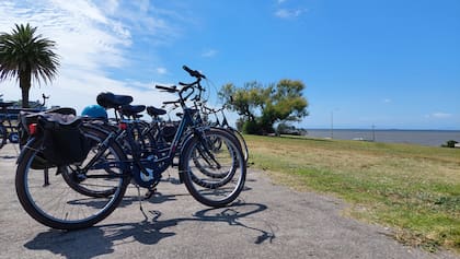 Uruguay invita a una mirada pausada a través de recorridos en bicicleta por diversas localidades y entornos naturales.