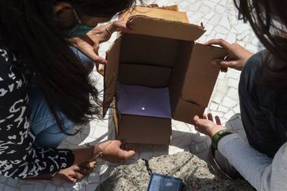 Usar un proyector estenopeico es una solución segura para ver el eclipse solar anular mientras se le dé la espalda al sol