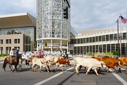 Utah celebra el Día de los Pioneros con rodeos, desfiles y otras actividades del 21 al 24 de julio (Visit Salt Lake)