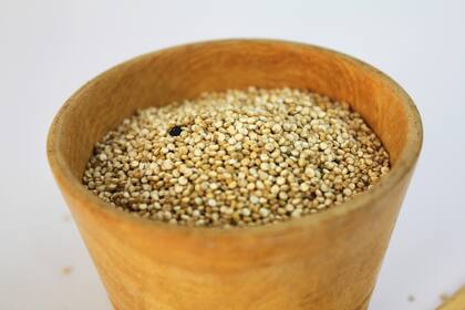 Utilizado como semilla, el amaranto es de gran ayuda (Foto: PIXABAY)