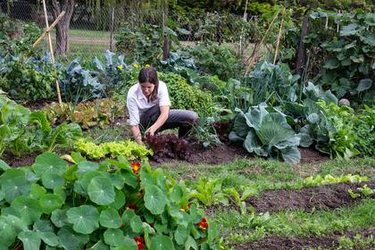 Utilizar el compost es una gran manera de impulsar el crecimiento de los jardines