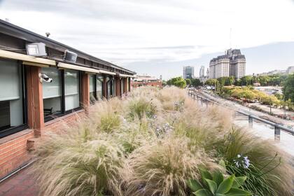 Utilizar una misma especie en masa da unidad visual y facilita el mantenimiento del espacio