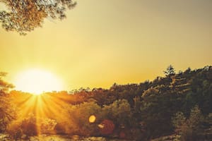 Utilizó la Inteligencia Artificial y reveló el misterio: ¿Dónde vive Dios?