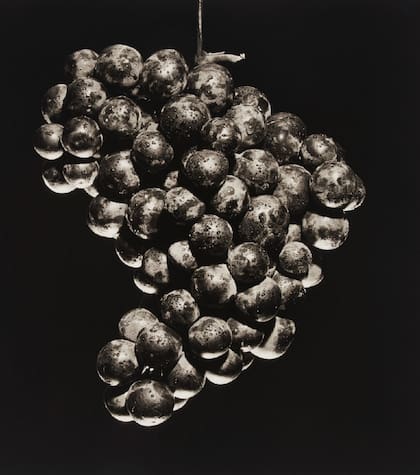 Uvas, 1985. Robert Mapplethorpe