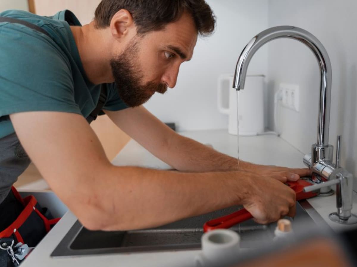 Nossa, que fiaka – LA NACION! Nossa, que fiaka – LA NACION!