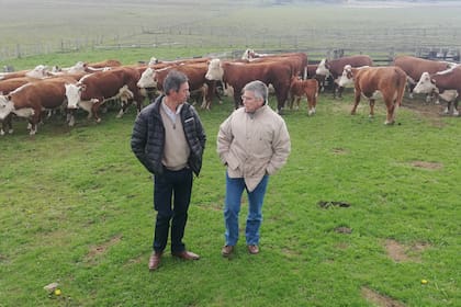 Jorge Sevillano, dueño de la cabaña Pirinaica, y Alejandro de La Tour, presidente de la asociación de los criadores de Hereford