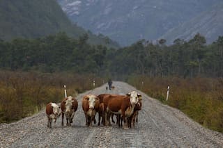 La Carretera Austral, el gran viaje de la Patagonia chilena