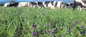 De “todo lo hago yo” a dirigir estratégicamente la empresa