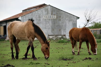 Vagues, tranquilidad asegurada