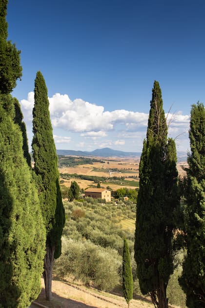 Val D'orcia