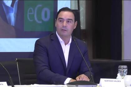 El gobernador de Corrientes, Gustavo Valdés