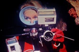 Quién es la australiana que acaricia tiburones y lucha por protegerlos