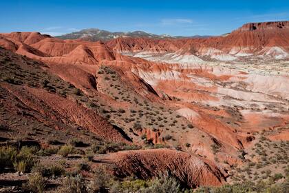 Valle de la luna jujeo, en Cusi Cusi. Xavier Martn